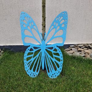 fluture - 2 aripi